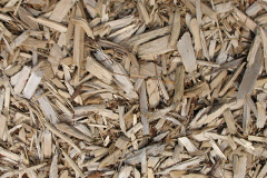 biomass boilers Rhydroser